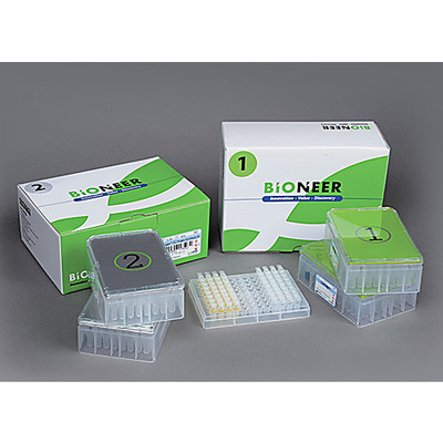 ExiProgen EC Protein Synthesis Kit, 32 reactions