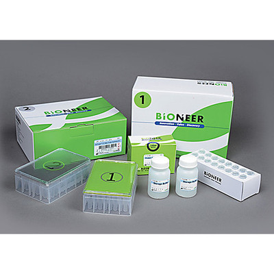 ExiProgen EC-Maxi Protein Synthesis Kit, 8 reactions