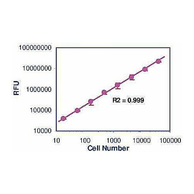 CellQuanti-Blue Cell Viability Kit; 10000ASY