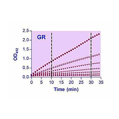 EnzyChrom Glutathione Reductase Kit, 100ASY