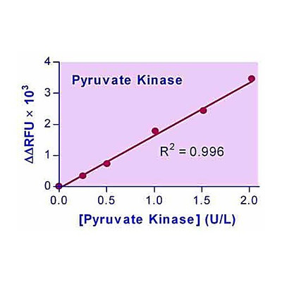 EnzyChrom Pyruvate Kinase Kit, 100ASY
