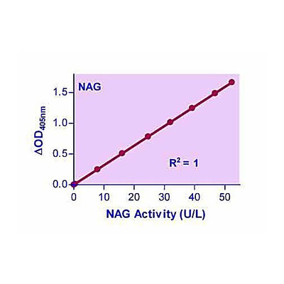 QuantiChrom B-N-Acetylgluco Kit, 100ASY