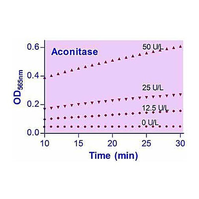 EnzyChrom Aconitase Kit, 100ASY