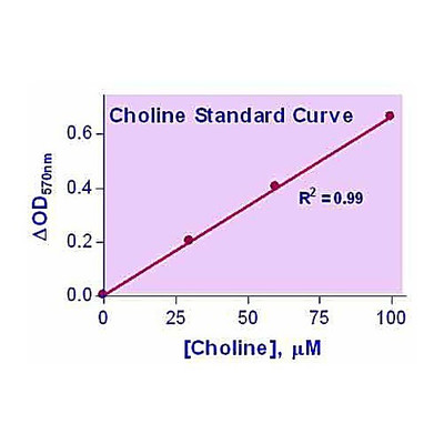 EnzyChrom Choline Kit, 100ASY