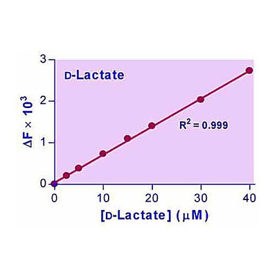 EnzyFluo D-Lactate Kit, 100ASY