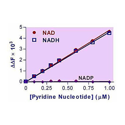EnzyFluo NAD/NADH Kit, 100ASY