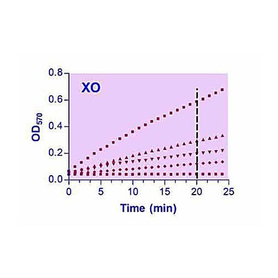 EnzyChrom Xanthine Oxidase Kit, 100ASY