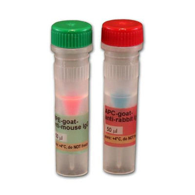 Goat-anti-mouse IgG IR800, 250uL 
 {2037-R05061250}