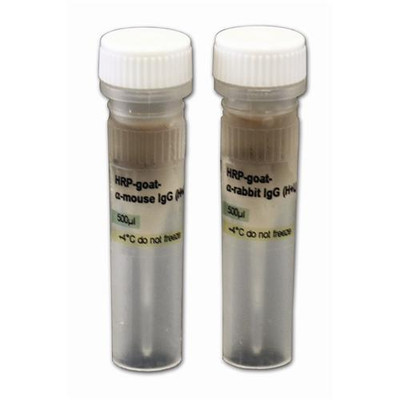 Goat anti-rat IgG (H+L), HRP conjugate,  
 {2037-R05075500}