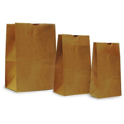 Paper Evidence Bags, Unprinted, 12 x 7 x 
 {2107-A1016P PK}