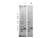rMouse Thrombopoietin Protein 1mg {2976-010001W321000}