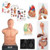 3B Scientific® Advanced Auscultation Training Set - 8000996, Advanced auscultation lab