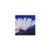 BCR® Polyester Glove Liners, Berkshire - BGL3.20R, BCR® Polyester