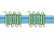 MEMBRANE HUMAN GPR91 CHO ARRB2 HTS 100MG