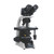 Ergo Binocular Microscope 3objs,110-240v 
 {2019-3012LED3BE}