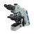 Trinocular Microscope,Phase,110-240v 
 {2019-EXC400PH}