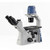 EXI-310 Inverted Phase Microscope, 4x Pl 
 {2019-EXI310PH}
