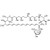 Amphotericin B, 5g 
 {2027-R13975G}