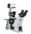 Inverted phase contrast microscope, IOS, 
 {2466-IM5US}