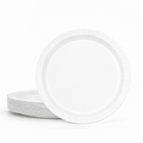 20ct Bright White 10in Paper Plates