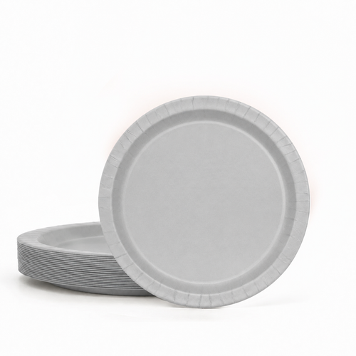 20ct Silver 7in Paper Plates