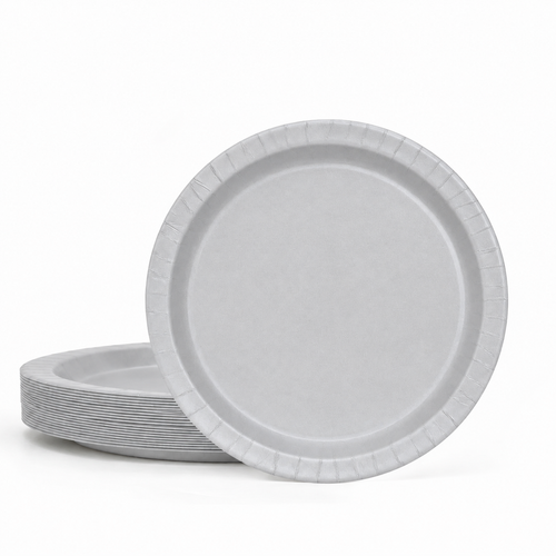 20ct Silver 9in Paper Plates