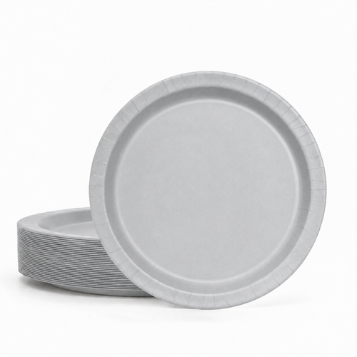 20ct Silver 10in Paper Plates