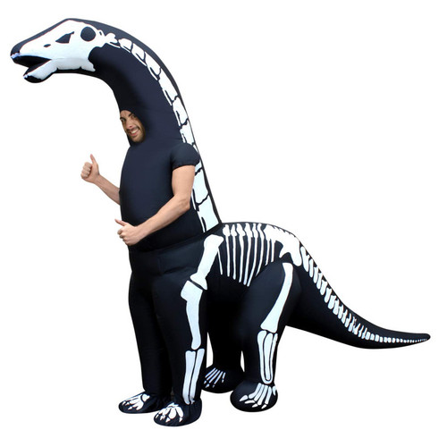 Diplodocus Skeleton Adult Infl