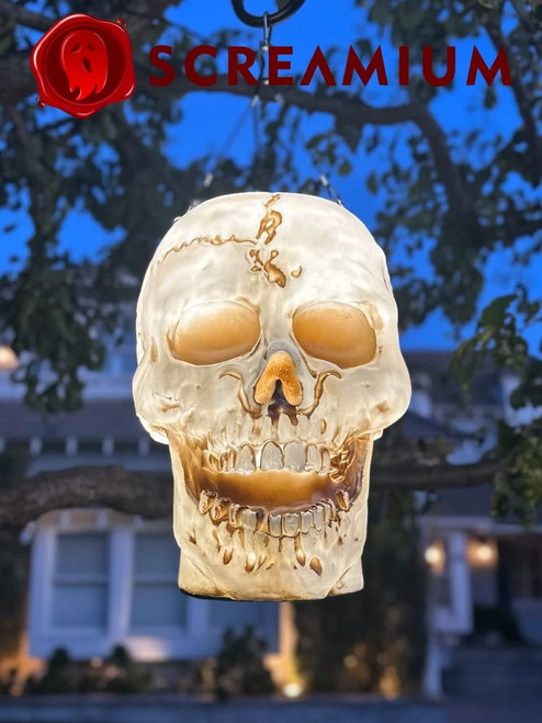 Hanging Skull Halloween Decoration