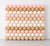 Balloon Wall Classic Neutral Blush