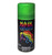 Fluorescent Green Temporary Hair Color Spray