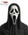 Ghost Face Mask with Shroud