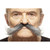 Grey Costume Moustache