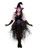 Dreamgirl Boo-tiful Witch Costume