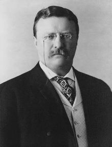 Theodore Roosevelt: The All-American Boy (Audio Download)