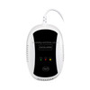 PA-209R Wireless Gas Detection Alarm, AC 100-240V