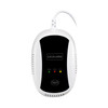 PA-209R Wireless Gas Detection Alarm, AC 100-240V