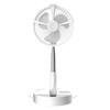 Humidifying and Moisturizing Spray Fan USB Charging Desktop Portable Folding Fan (White)