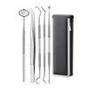 5 in 1 Steel Side Leather Case Stainless Steel Dental Tools Dental Care Tartar Tool Dentist Tool Set