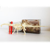 Assembled Diplodocus Skeleton Archaeological Excavation Toys Simulation Fossil Model Manual Toys