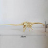 Assembled Diplodocus Skeleton Archaeological Excavation Toys Simulation Fossil Model Manual Toys