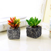 2 PCS Creative Simulation Multi - meat Potted Small Potted Plant Simulation Fleshy Plant False Meat Decorative Ornaments Micro - landscape, Random Pattern Delivery&#160;