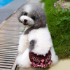 Embroidered Pet Sanitary Pants Underwear, Size: L (Waistline: 25 - 35cm)(Coffee)