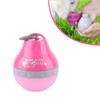 Pets Go Out Portable Folding Kettle Drinking Fountain Drinking Supplies, Size:S(Rose Red)