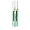 Portable Mini Moisturizing Sprayer Rechargeable Beauty Disinfectant Humidifier Automatic Alcohol Sprayer(Green+Gold)