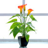 Artificial Flower Calla Plant Potted Home Decoration Green Plant(Orange)
