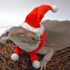 Lizard Crawling Pet Out Christmas Dress Up, Specification: Hat+Scarf