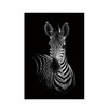 Simple Black and White Animal Decoration Painting Study Living Room Sofa Background Wall Painting Without Frame, Size:40X50cm(Zebra)