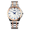 SKMEI 9069 Multifunctional Outdoor Fashion Business Waterproof Interval Gold Shell Quartz Wrist Watch(Blue)