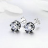 Crown S925 Sterling Silver Women Earrings With Zircon Earrings